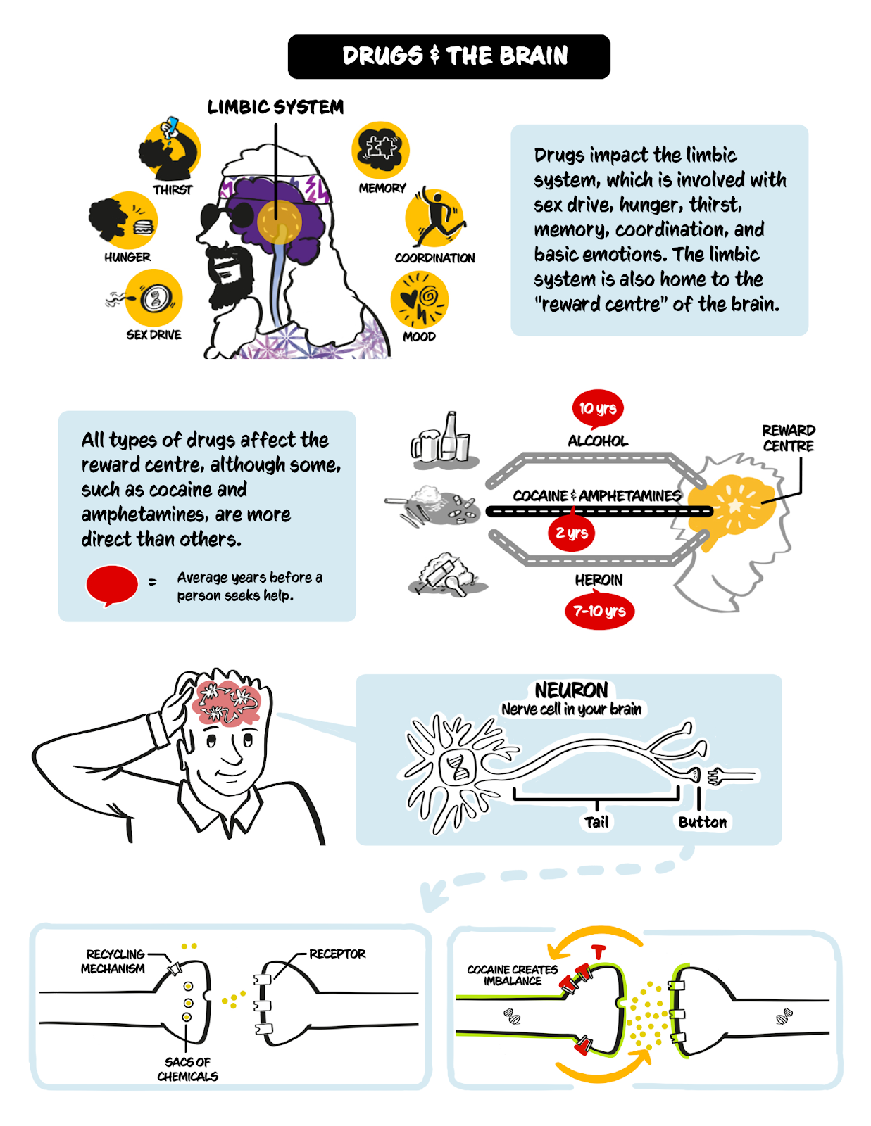 drugs and the brain infographic 