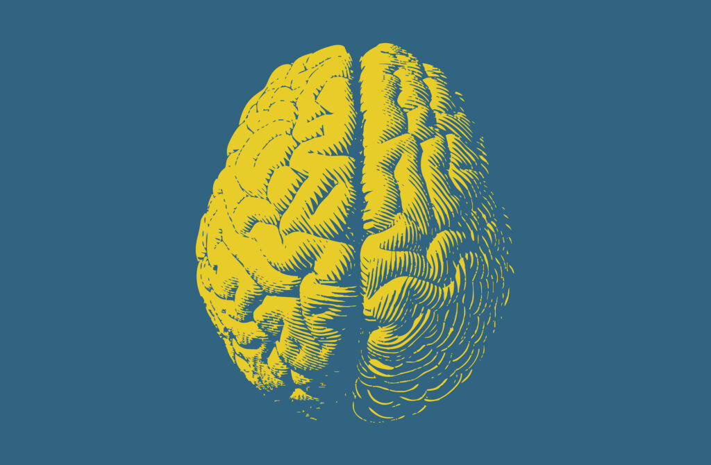 colour graphic of brain