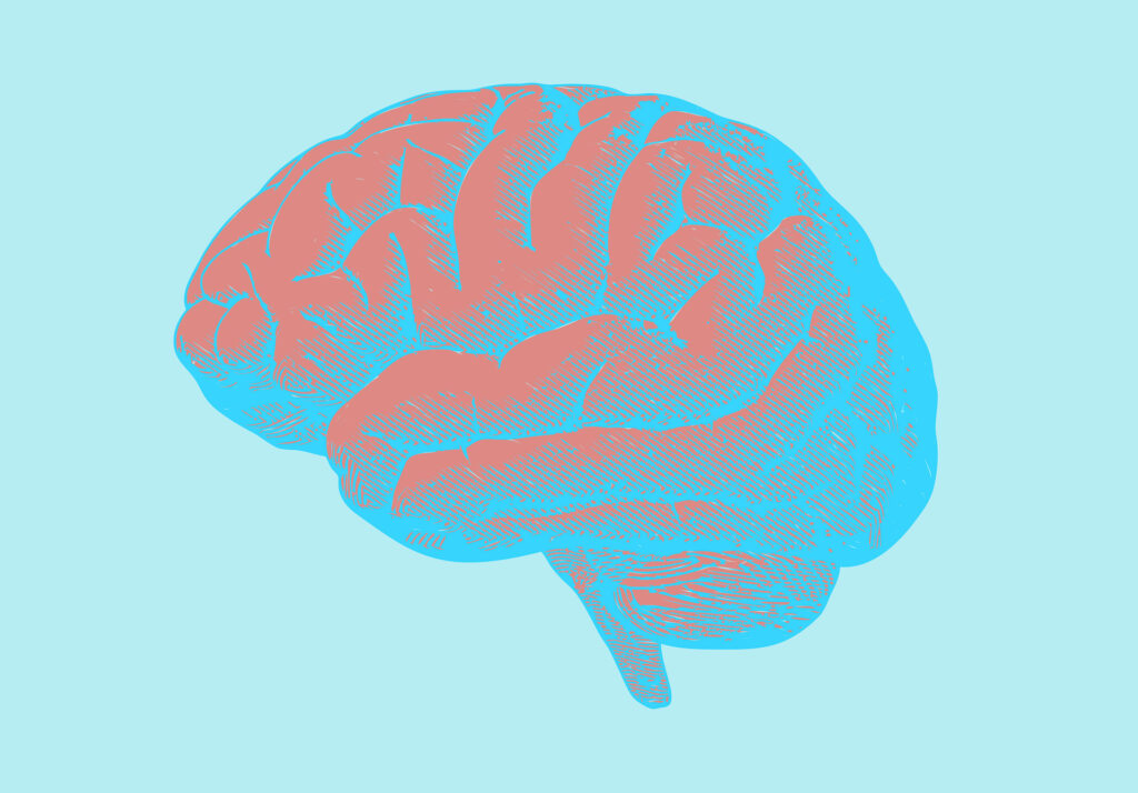 art graphic of brain